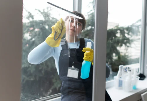 Nettoyage de vitres intérieures et extérieures à Parigné-le-Pôlin